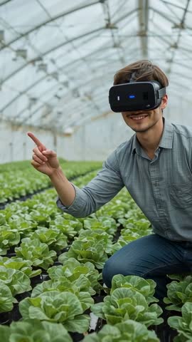 Vertical video of agritech worker inspecting lettuce with VR headset in greenhouse