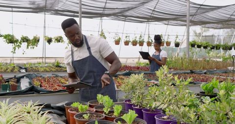 Colleagues using tablets for plant care in eco-friendly greenhouse