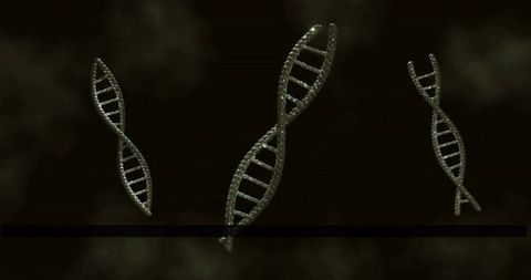 Metallic Beaded DNA Helices Floating in Smoky Dark Space Abstract Genetics Visualization