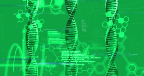 green dna strand with digital data stream - Download Free Stock Images Pikwizard.com