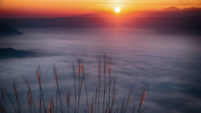 Sunrise Over Misty Valley with Grasses in Foreground - Download Free Stock Photos Pikwizard.com