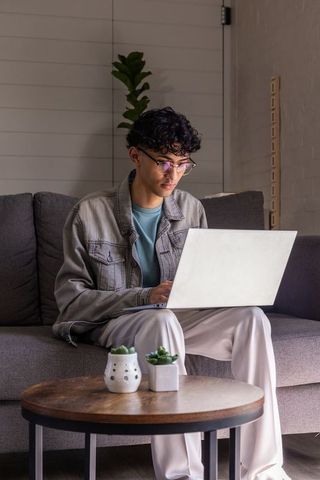 Asian young man working on laptop on grey sofa in modern living room with succulents