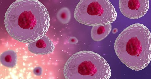 Abstract Visualization of Red and Pink Cells on Vivid Background - Download Free Stock Images Pikwizard.com