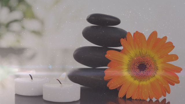 This video features a serene spa setup with candles, an orange flower, and a stack of black balancing stones, overlaid with light spots for an ethereal effect. This is perfect for marketing materials, wellness blogs, spa advertisements, or meditation guides. Use this to evoke a sense of tranquility and relaxation.