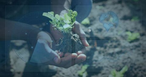 Hands holding seedling with digital hud overlay representing sustainable farming growth