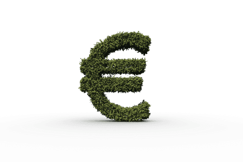 Transparent Euro Currency Symbol Made of Grass Isolated - Download Free Stock Videos Pikwizard.com