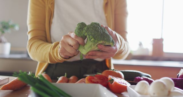 Close-up of person preparing fresh vegetables in kitchen - Download Free Stock Images Pikwizard.com