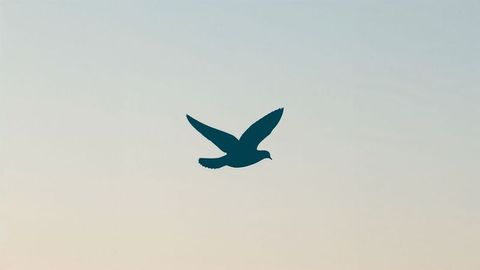 Solitary bird silhouette against tranquil sunrise sky for condolences