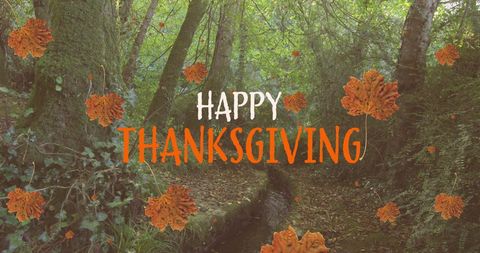 Thanksgiving Greetings with Forest and Falling Leaves