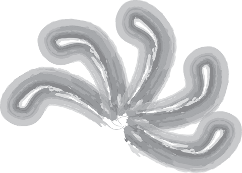 Abstract Curved Brushstrokes on Transparent Layer Design - Download Free Stock Videos Pikwizard.com