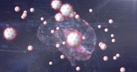 digital visualization of viral infection impacting human brain - Download Free Stock Images Pikwizard.com