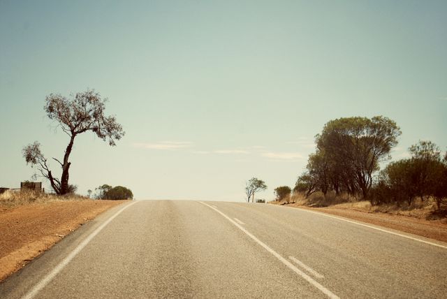 This image depicts an empty desert road extending towards the horizon under a clear blue sky, surrounded by sparse trees and dry terrain. It portrays isolation and endless possibility, making it suitable for travel blogs, articles on solitary or reflective journeys, and advertising for road trips and vehicle companies. The open road can symbolize freedom, making it perfect for motivational or inspirational themes.
