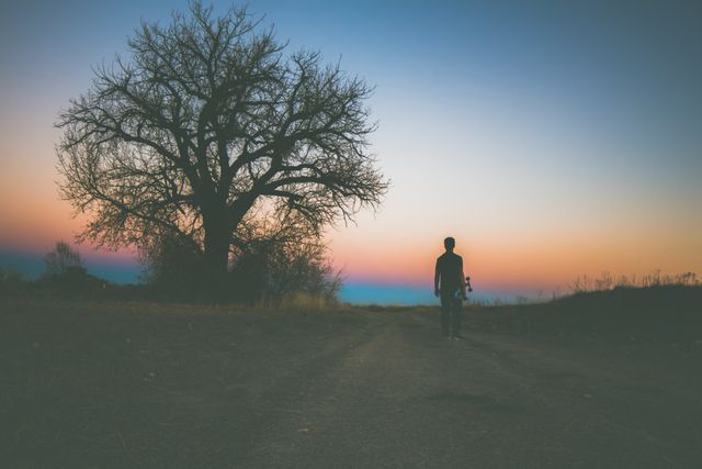 This image captures a silhouette of a person walking along a path during dawn or sunset near a bare tree against a colorful sky. Ideal for use in inspirational or motivational content, blogs about nature, solitude, or travel, and social media posts that focus on self-reflection or peacefulness.