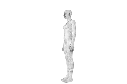 transparent 3d model of full-length woman in side profile - Download Free Stock Videos Pikwizard.com