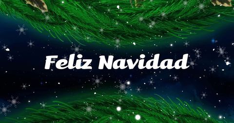 Feliz Navidad Text with Christmas Tree Branches and Snowflakes