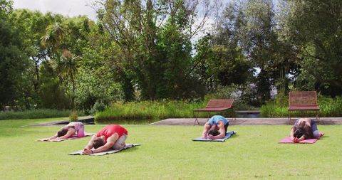Diverse Group Practicing Yoga on Mats in Serene Park Setting