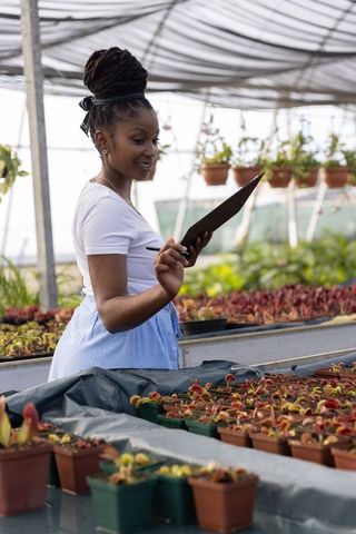 African american woman inspecting seedling trays in greenhouse holding clipboard and pen