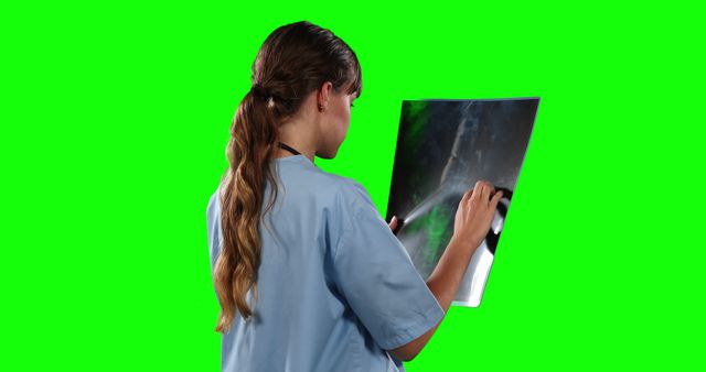 Female Doctor Examining X-ray on Green Screen - Download Free Stock Images Pikwizard.com