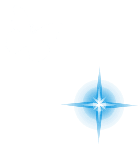 transparent canvas with abstract butterfly and blue starburst - Download Free Stock Videos Pikwizard.com