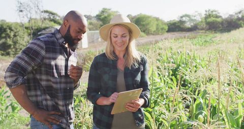 Farmers Discussing Agriculture Technology on Sunny Day