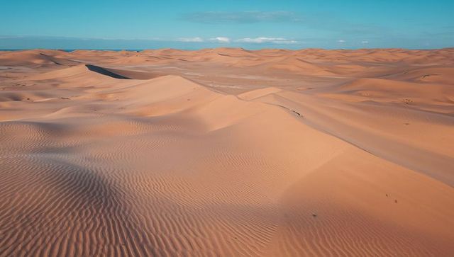 Revealing wind-sculpted sand dunes stretching across arid horizon with rippled texture