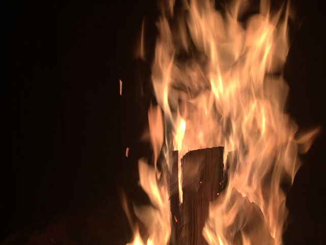 Warm Campfire in Dark Night - Download Free Stock Photos Pikwizard.com