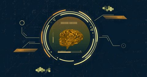Futuristic Brain Analysis Interface with Digital Spinning Graphics - Download Free Stock Images Pikwizard.com