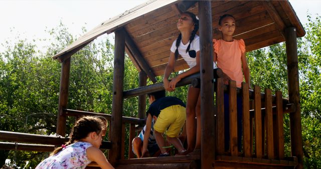 Children playing on wooden playground climbing structure - Download Free Stock Images Pikwizard.com