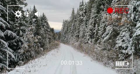 Winter Forest Road Viewed Through Camera in Recording Mode - Download Free Stock Images Pikwizard.com