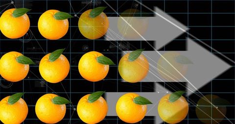 Futuristic Technology and Fresh Oranges With Digital Grid Background