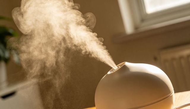 White spherical humidifier releasing warm mist on sunlit wooden table for cozy home use