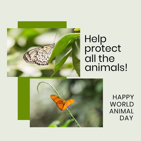 world animal day celebration with butterflies and conservation message - Download Free Stock Templates Pikwizard.com