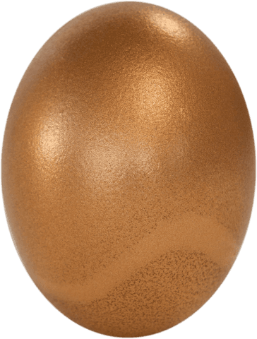 transparent brown easter egg close-up on white background - Download Free Stock Videos Pikwizard.com