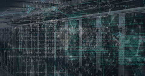 Digital Network Connections Over Data Servers Interface