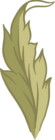 Abstract Botanical Frond on Transparent Background - Download Free Stock Videos Pikwizard.com