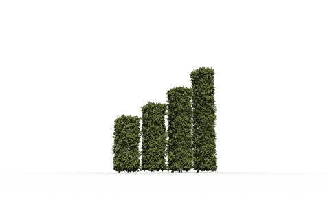 Green Plant Statistics Chart on Transparent Background Vector - Download Free Stock Videos Pikwizard.com