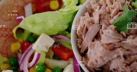 Healthy Salad Bowl with Tuna and Fresh Vegetables