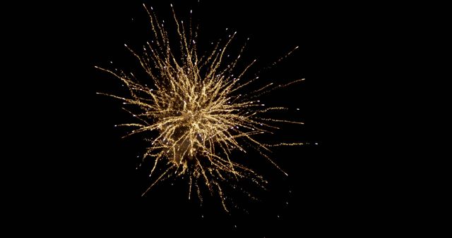 Golden fireworks explode against a dark night sky. Capturing the essence of celebrations, the fireworks create a festive atmosphere.