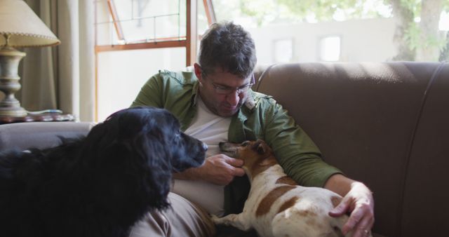 Middle-aged man sitting on a sofa at home, petting his two dogs. Provides a warm and cozy scene of a man bonding with his pets in a domestic setting. Perfect for use in marketing related to home decor, pet care, or family-oriented lifestyle brands.