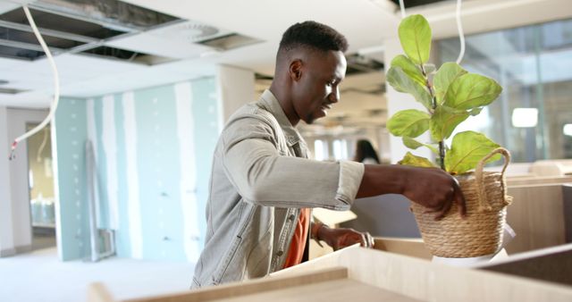 Man Placing Plant in New Office Space - Download Free Stock Images Pikwizard.com