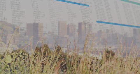 Golden meadow grasses framing urban skyline with translucent data overlay