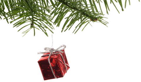 transparent christmas gift ornament hanging pine branch - Download Free Stock Videos Pikwizard.com