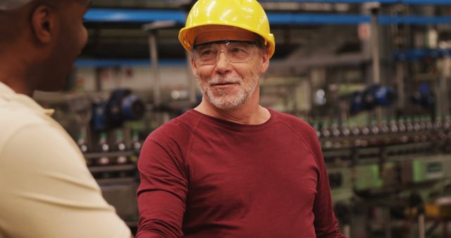 Senior Engineer in Hard Hat Discussing with Coworker in Factory - Download Free Stock Images Pikwizard.com