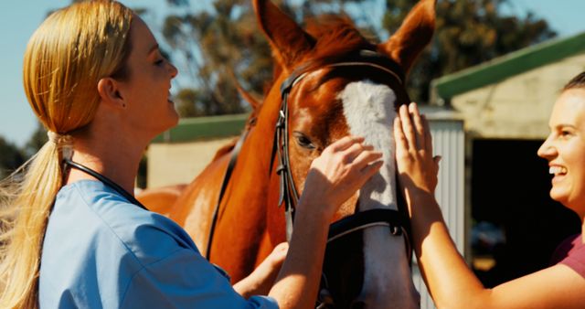 Two women, a veterinarian and her assistant, attentively examine a horse's health. - Download Free Stock Photos Pikwizard.com