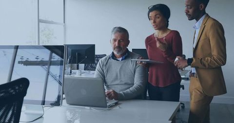 Office team collaborating on digital project