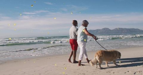 Mature Couple Walking Golden Retriever on Sunlit Sandy Beach with Rolling Ocean Waves