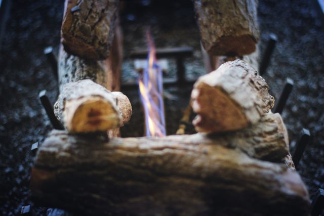 Close-Up of Burning Firewood in Outdoor Fireplace - Download Free Stock Images Pikwizard.com
