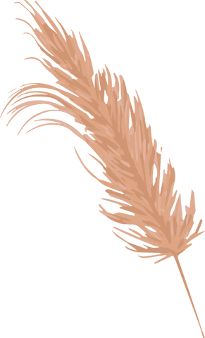 Flat design warm-tone grass plume on transparent background