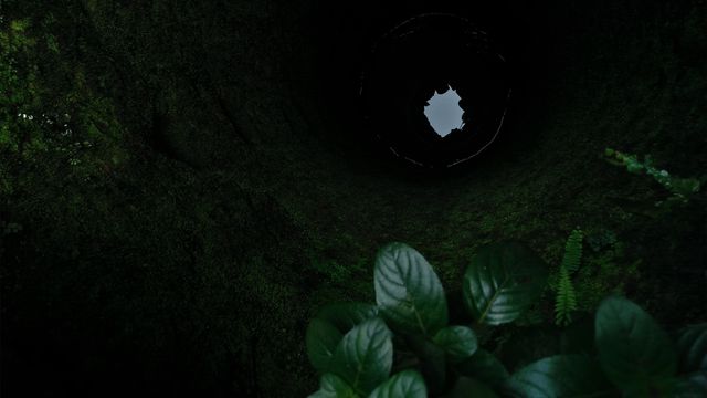 Image captures a view from the bottom of a moss-covered well surrounded by dark, lush greenery. Light comes from the top of the well, creating a dramatic contrast with the dark, shadowed inner walls. Ideal for depicting concepts of looking up, narrow escapes, or natural enclosed spaces. Useful for projects related to nature explorations, mystery settings, or illustrating isolation and tranquility.