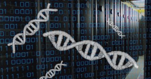 DNA Molecules with Binary Code Over Computer Servers Concept - Download Free Stock Images Pikwizard.com